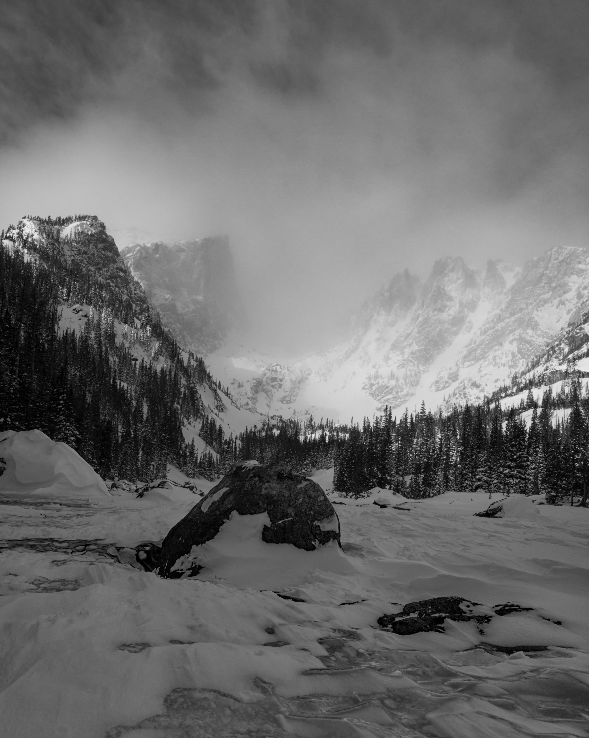 Dream in black and white