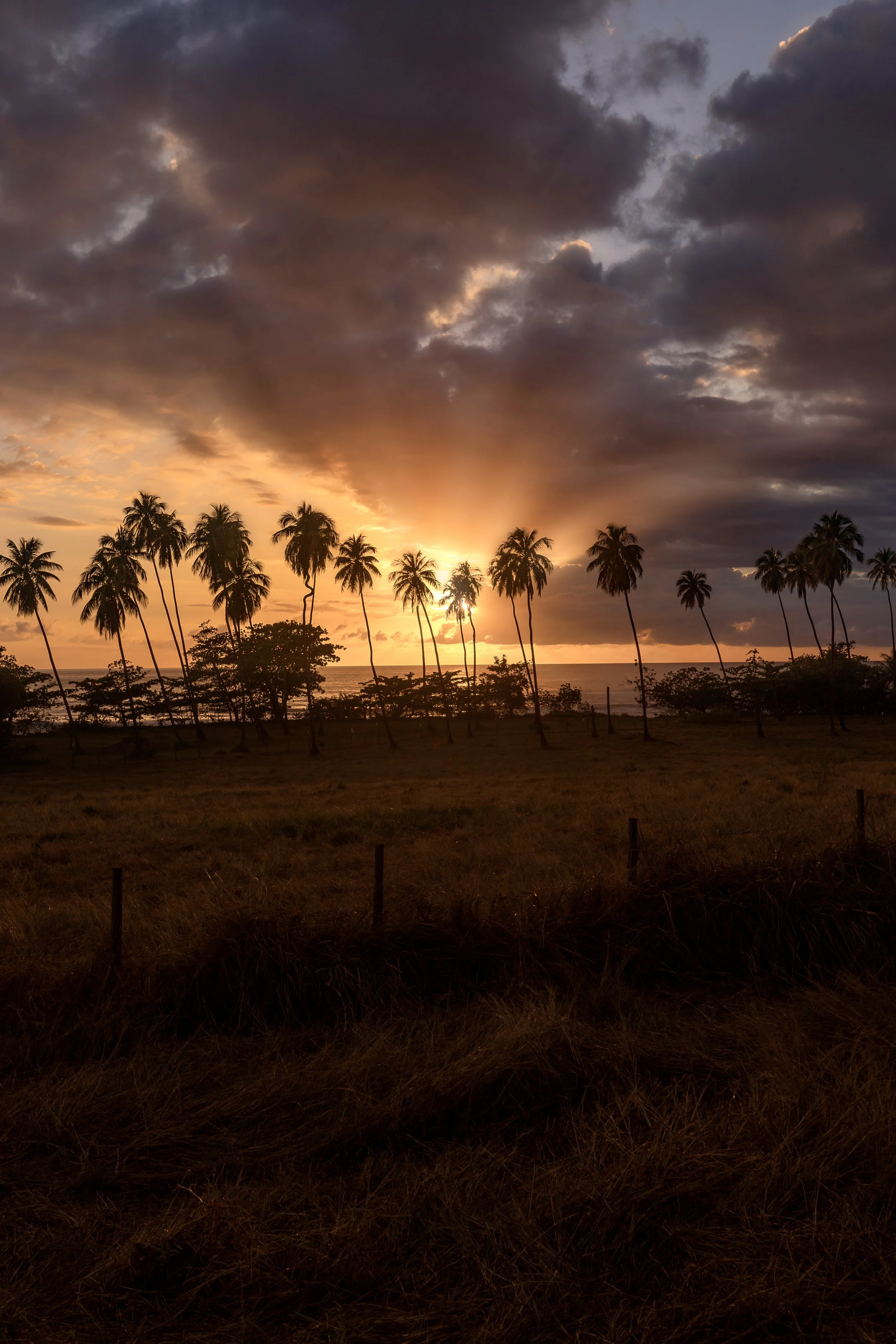 Puerto Rico’s golden coastline
