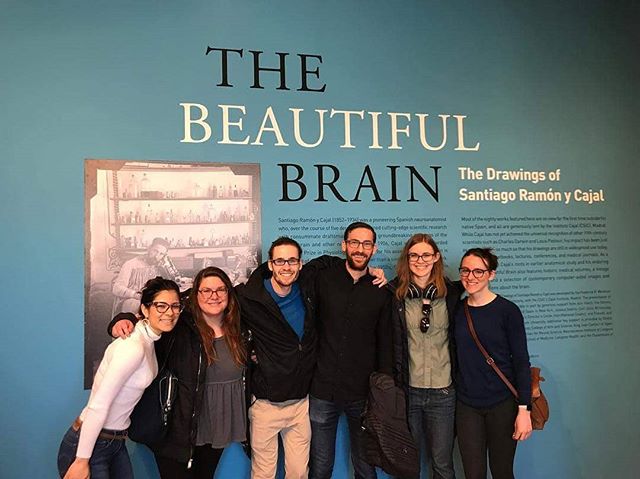 This past weekend some of our NGG students ventured to the @nyugrey to admire the astonishing drawings of Santiago Ram&oacute;n y Cajal at the Beautiful Brain exhibit.
