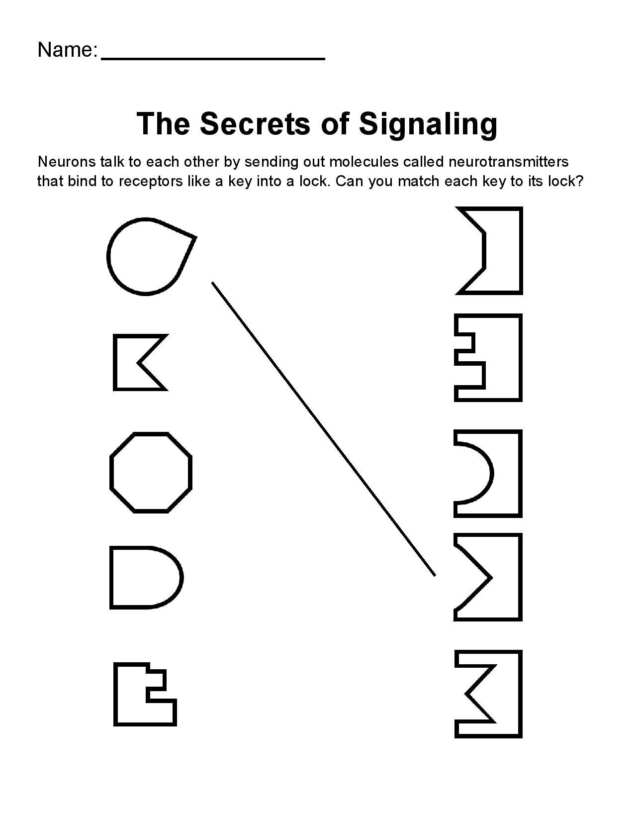 Match the signals: Answers