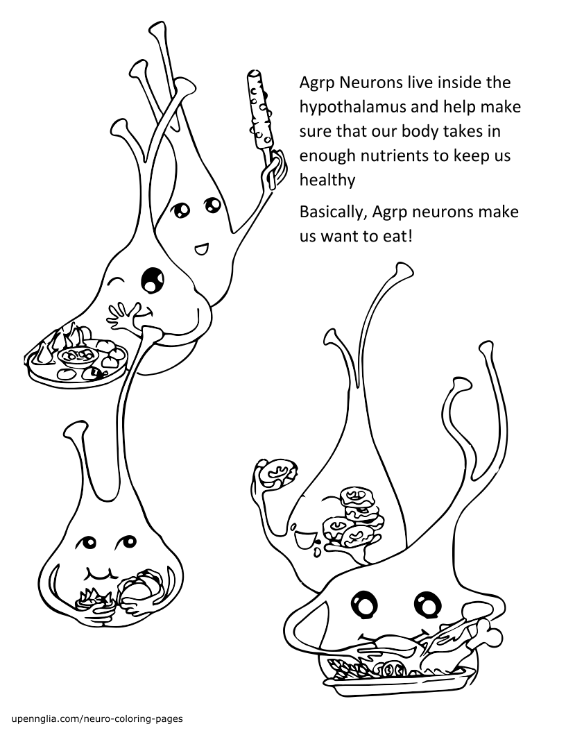 AGRP Neurons: Page 1