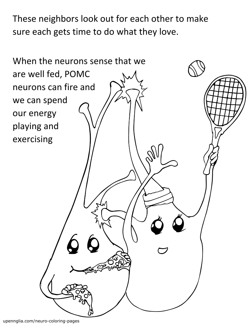 AGRP &amp; POMC Neurons: Page 1