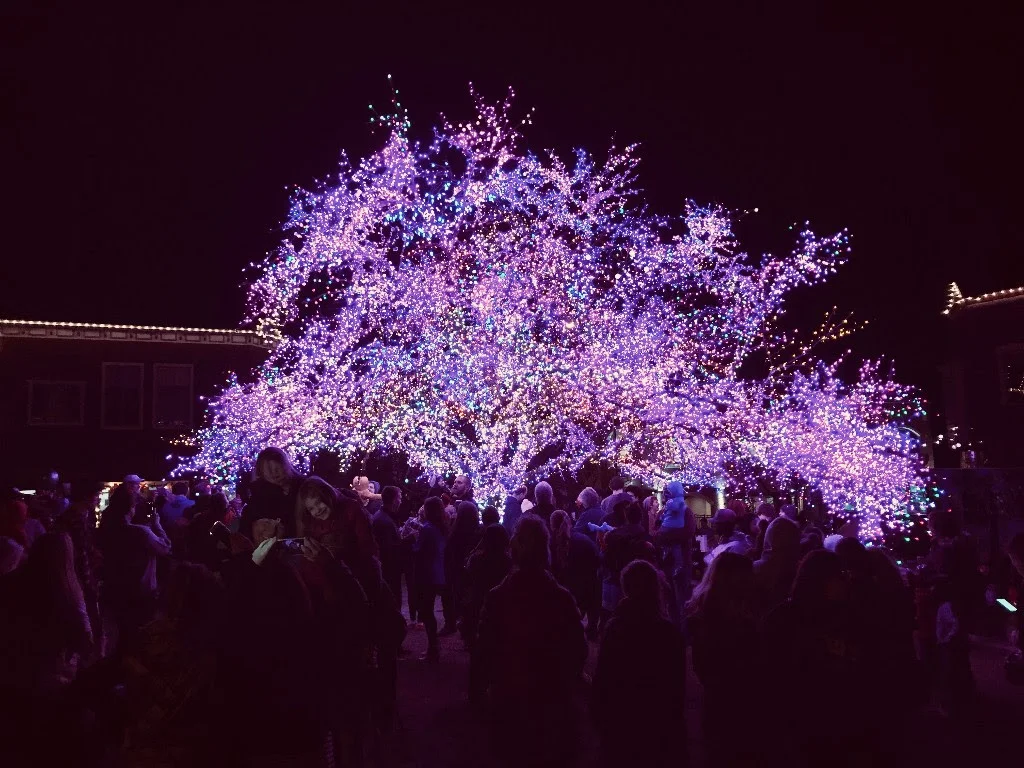 The "Magic Tree" is lit every year and thousands of people from across Missouri come to see it. It is located across the street from where our Preview Gatherings meet.