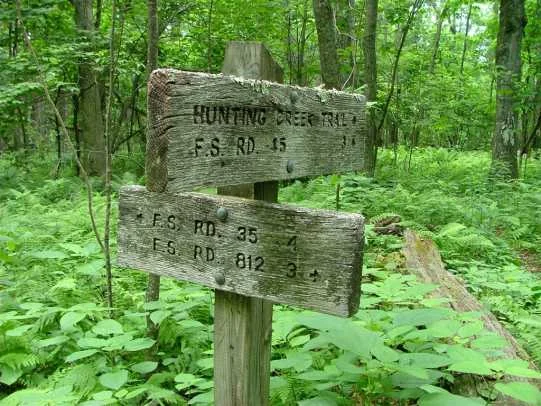 hike.jpg