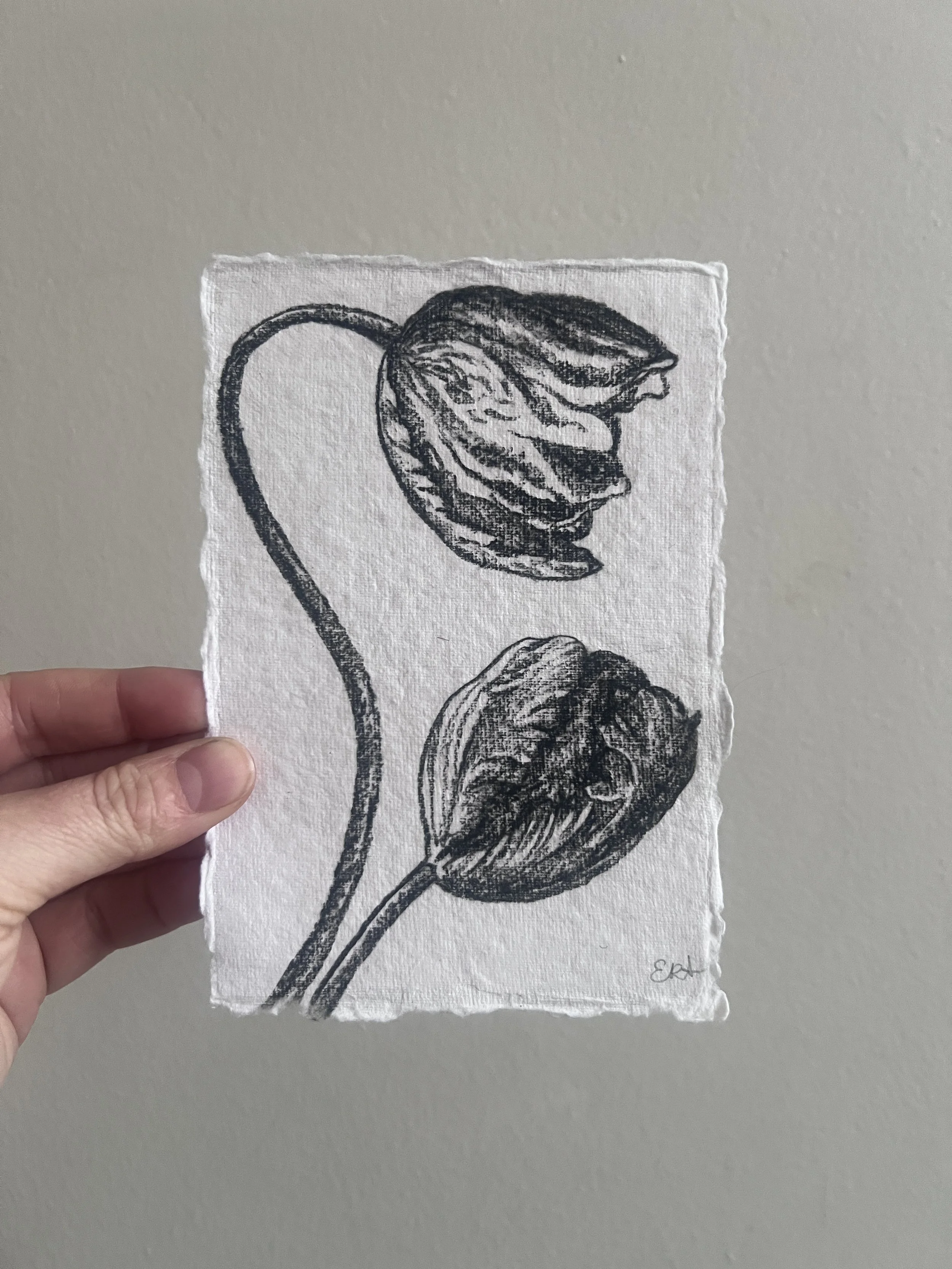Tulip No. 4