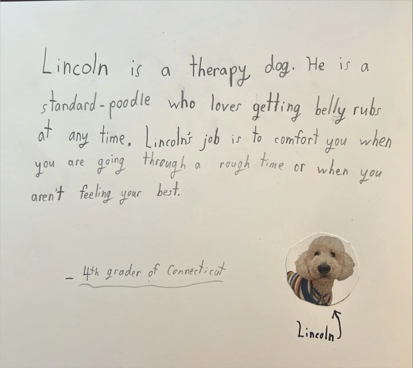 Therapy Dog Appreciation Day is celebrated annually on April 11 to honor the comfort and support therapy dogs provide to people in need. A local fourth grader shared his story with us about the therapy dog at his school - "Lincoln is a therapy d