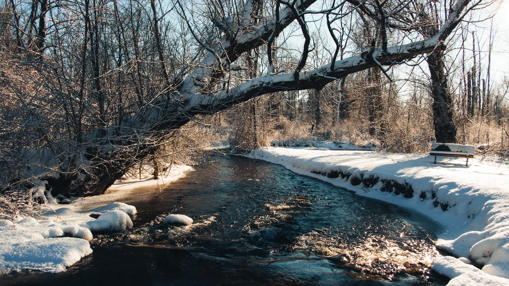 Stoney Creek metro park creek winter.jpg