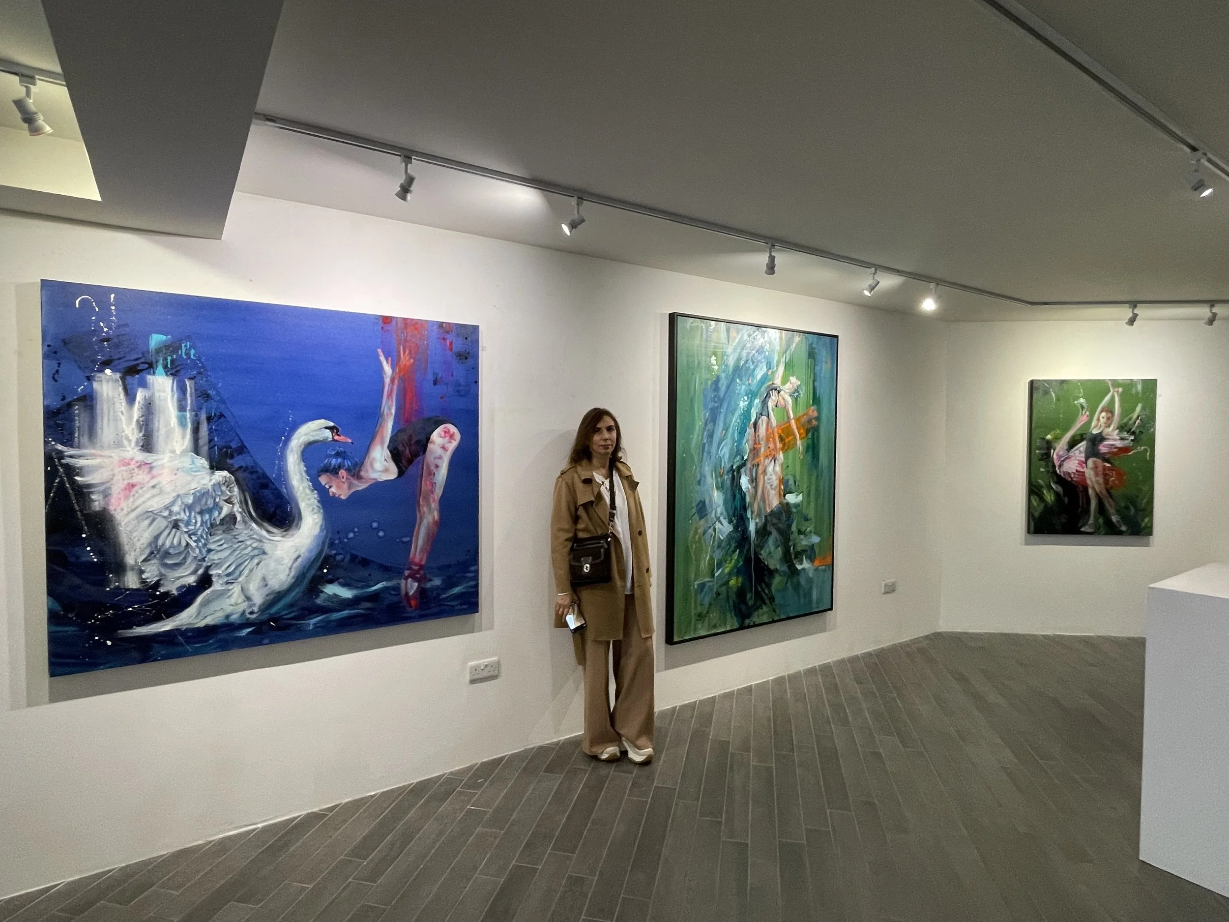 SOLO EXHIBITION, SOL ART Gallery, Dublin.