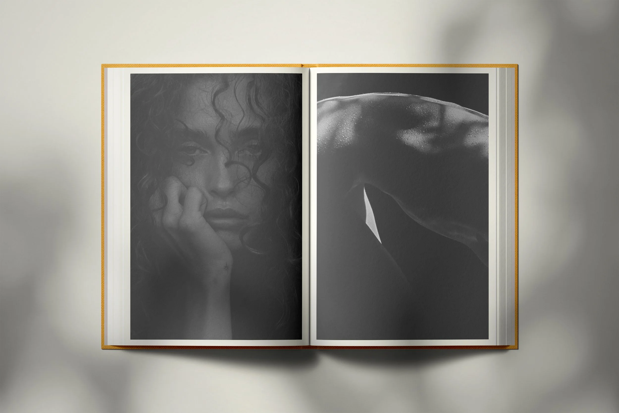 INVADOS Page 42-43.jpg