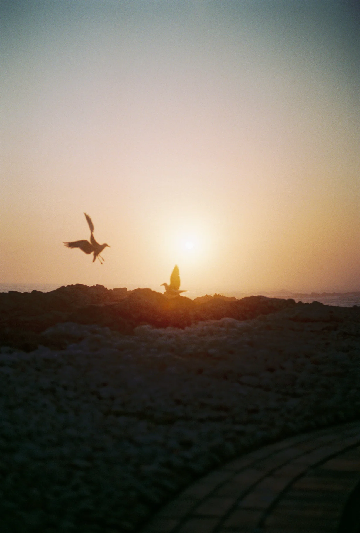A009572-R1-11-12A.jpg