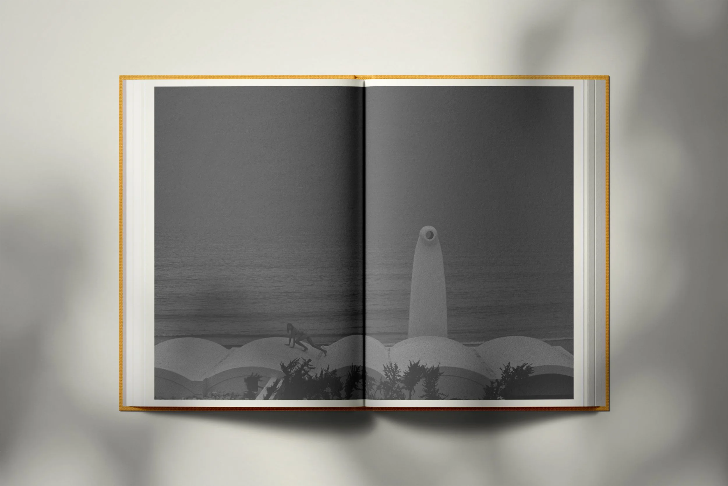 INVADOS Page 66-67.jpg