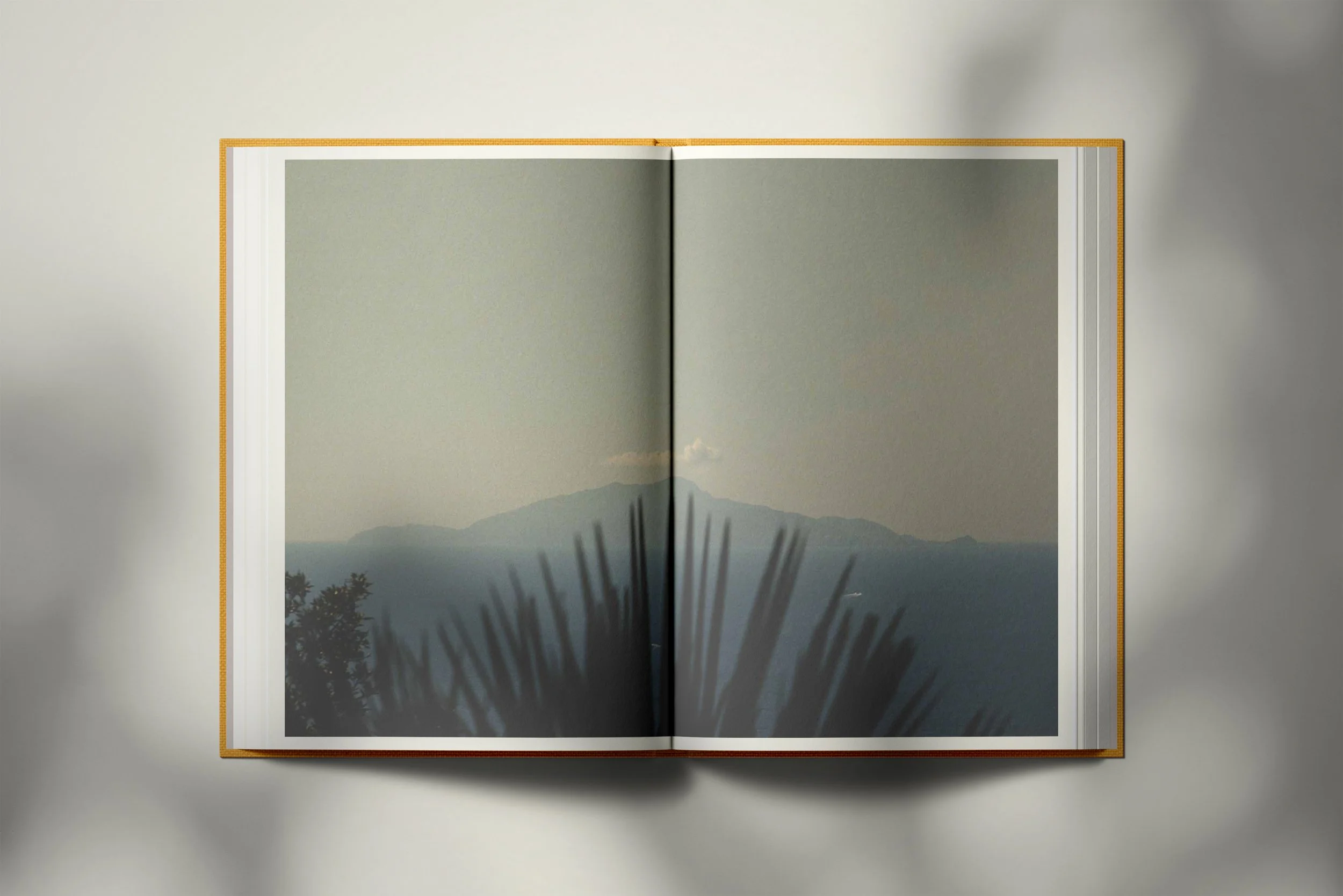 INVADOS Page 44-45.jpg