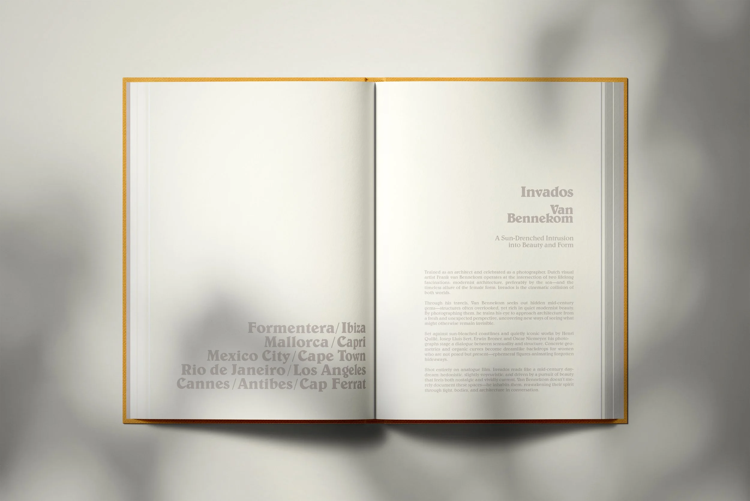 INVADOS Page 2-3.jpg