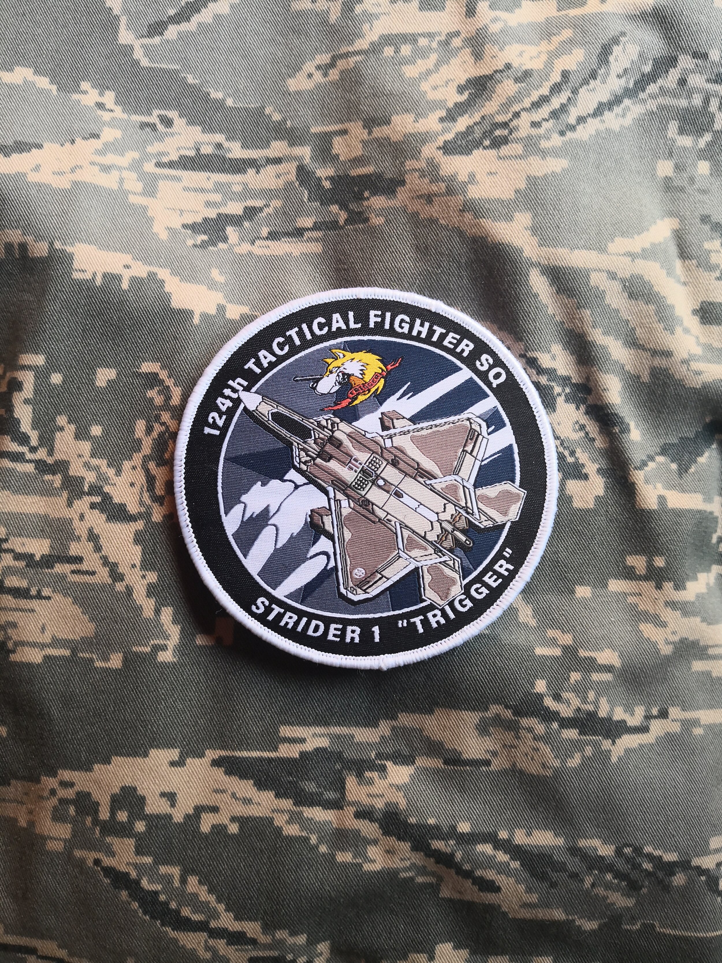 morale patch hook loop USAF F-22 DEMO Team FIGHTER WING Ace Combat AFB warfare 