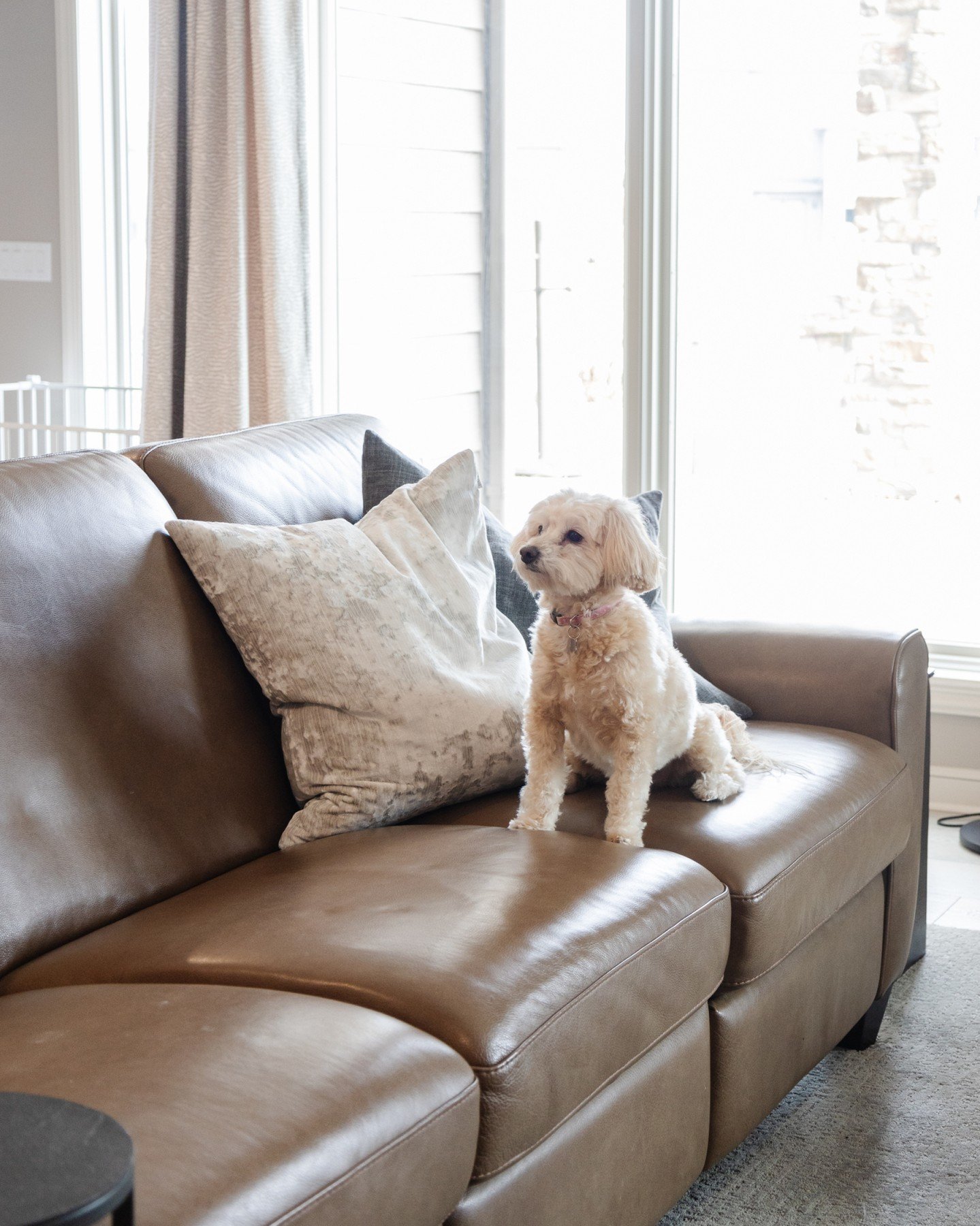 Home isn&rsquo;t just where you live, it&rsquo;s where your story unfolds. 🐾
From the pitter-patter of paws on the sofa to the laughter of little ones down the hall, every detail we design is shaped around you and the life you live within these wall