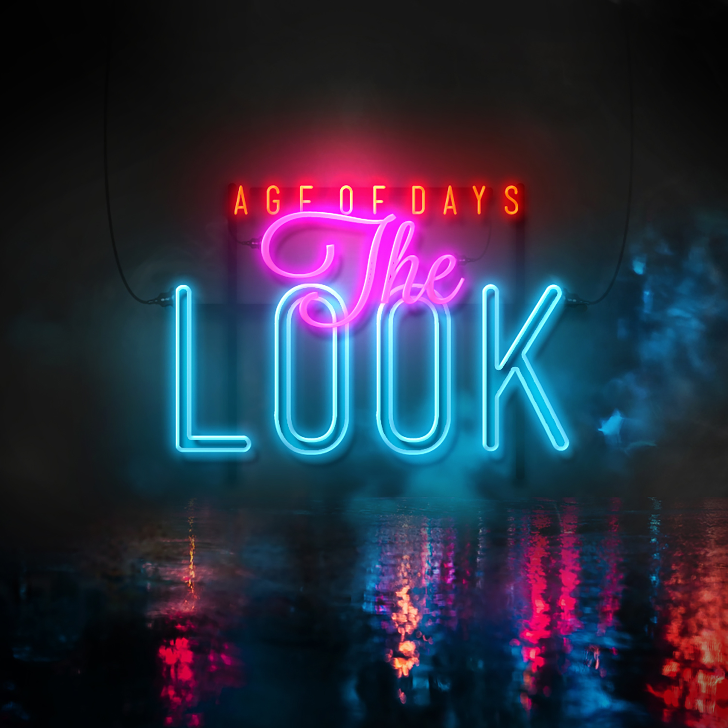 AgeofDays_The Look_cover.jpg