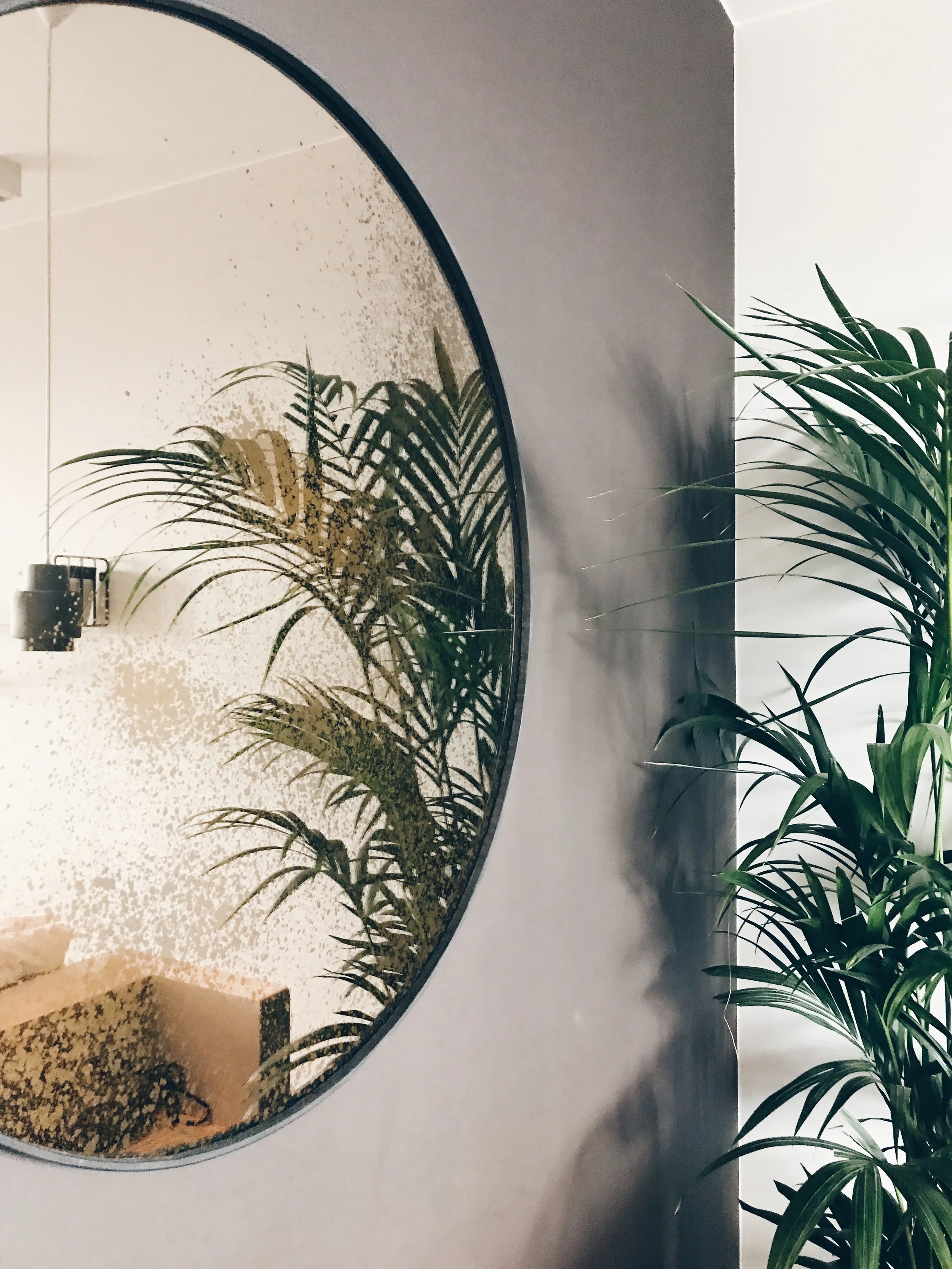 Gallery — Jardin Secret