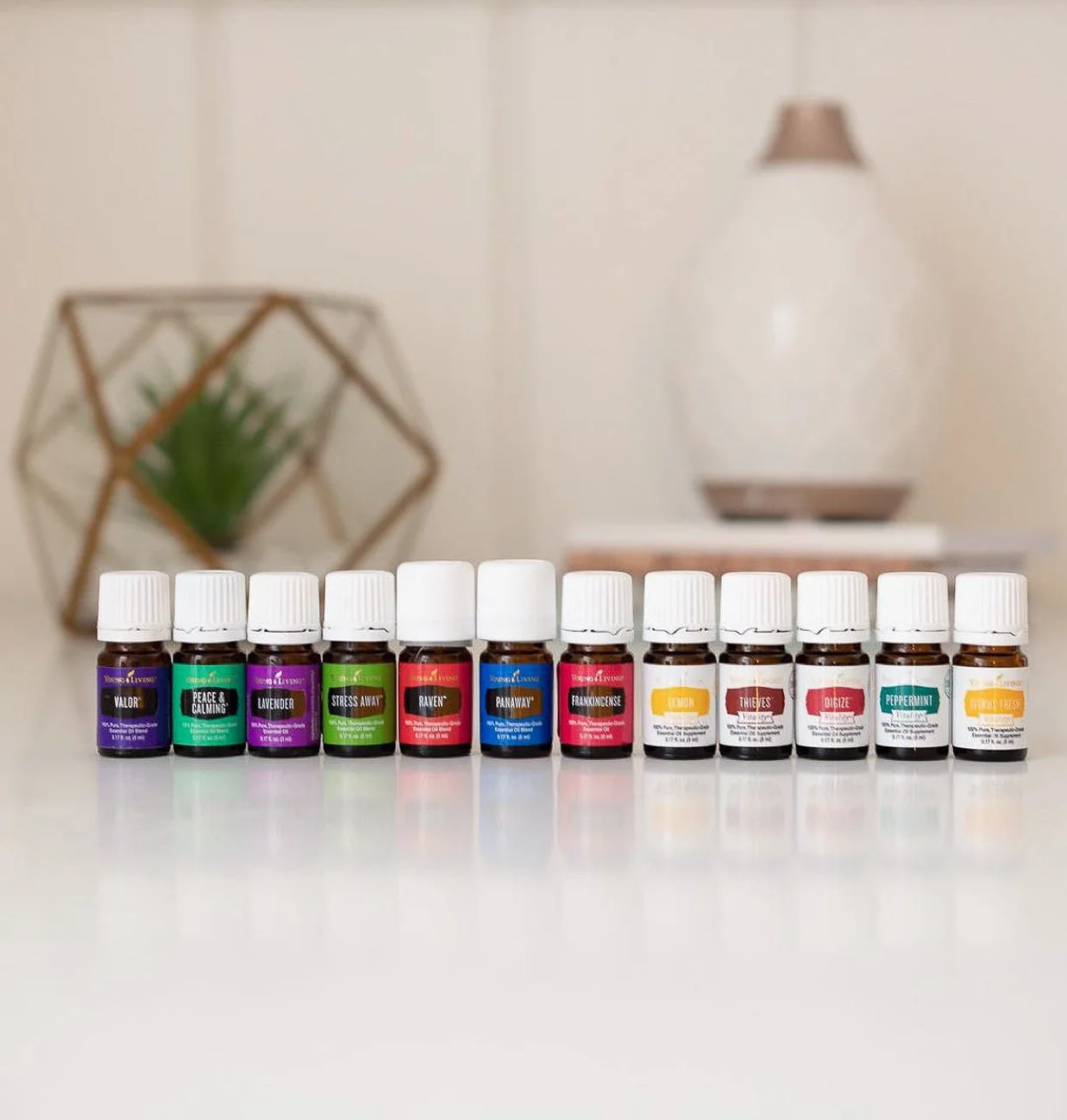 YLEO+Starter+Kit+1.jpg