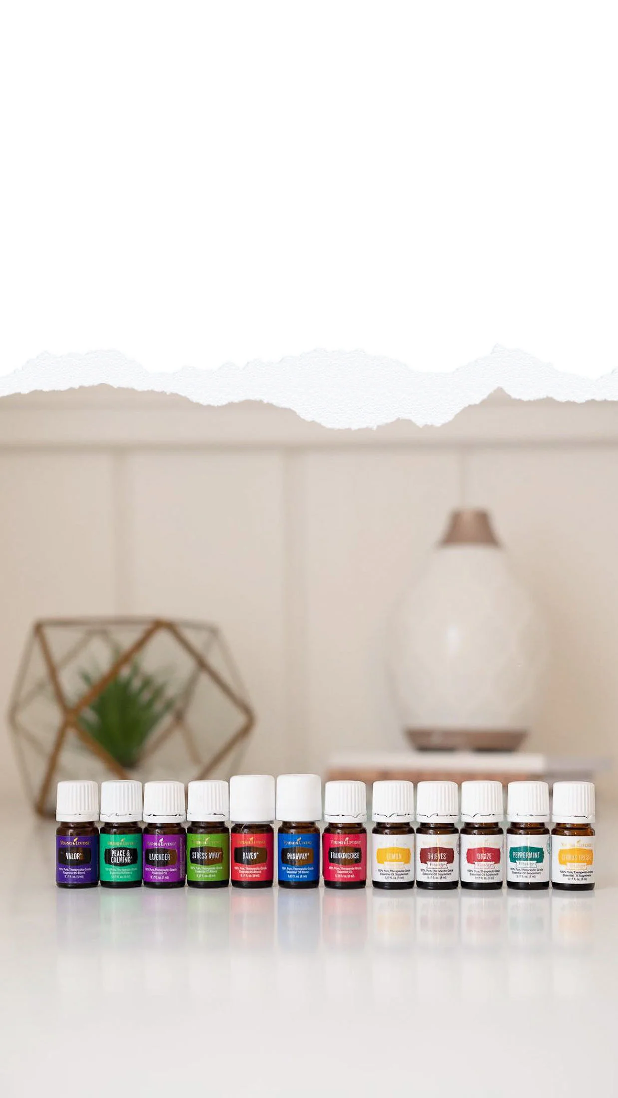 Everything you need for cleaning, beauty & health and more is here! What are Essential Oils and Why Do We Use Them? Essential oils are oils made from flower, herb and tree parts (bark, roots, peels, petals). The cells that give a plant its fragrant smell is its “essence”. When the essence is extracted from a plant, it becomes an essential oil. It takes a lot of plant product to make essential oils. More than 200 pounds of lavender flowers are used to make just one pound of lavender oil. Not all products made with essence are essential oils. True essential oils are not blended with other chemicals or fragrances. They are made using a specific process that doesn’t change the chemistry of the plant. Essential Oils can support and release heavy emotions and feelings because of their connection to the limbic system in our brains (the area where memories and emotions are stored). Why Young Living Essential Oils? Not all oils are created equal. Young Living offers only pure, therapeutic grade, non-GMO essential oils, steam distilled in their own facilities, from their own farms. For 25 years, Young Living’s Seed to Seal® quality commitment has been both a promise to you and a reflection of their sense of global stewardship and accountability. They believe we want only the best for our family and ourselves—products that are genuine, free from harmful synthetics, and of unmatched purity. Their proprietary Seed to Seal promise is their pledge to us, the earth, and themselves that Young Living products will be the best available, now and always. Seed to Seal and its three pillars—Sourcing, Science, and Standards—are infused into every aspect of Young Living’s exacting essential oil production processes, both on their own farms and their carefully curated family of partner farms. Seed to Seal is infused into their painstaking quality testing and retesting to ensure that our families enjoy the purest essential oil products on the planet. Ultimately, Seed to Seal is infused into everything Young Living does. They believe that nothing else will do. Are You Ready to Take Wellness into Your Own Hands? Young Living Essential Oils offers a Premium Starter Kit for people that want to begin using essential oils in their everyday lives but don’t know where to begin. This starter kit comes with a beautiful diffuser to begin diffusing your oils in your home right away! Aromatherapy using essential oils can dramatically improve the health of the body, mind and spirit, enhancing both physical and emotional health! You will also receive 12 of their most popular 100% pure, therapeutic grade 5 ml bottles of essential oils: Lavender, Peppermint, Lemon, Frankincense, Thieves, Citrus Fresh, Raven, DiGize, PanAway, Peace and Calming, Valor and Stress Away. You will also receive a 1 oz. sample of Thieves Household Cleaner which will make an entire 16 oz. bottle of cleaner once mixed with water. There will also be two 2-oz samples of NinXia Red, their powerful superfruit supplement derived from the wolfberry, designed to energize, fortify, and revitalize the body and mind. You will also receive literature and a product guide that teaches you about every single product they make. On top of all of this you will be a part of an amazing community that will support and encourage you throughout this journey, with exclusive on-line content and Facebook groups that offer endless information about Young Living products. You won’t ever feel overwhelmed and will always have support when questions arise. If you would like to become a Young Living Member by ordering a Premium Starter Kit, click this link: https://www.youngliving.com/vo/#/signup/new-start?sponsorid=18162230&enrollerid=18162230&isocountrycode=US&culture=en-US&type=member If you have any questions about Young Living Essential Oils, the Starter Kit or potential business opportunities within Young Living, please send us an email at: lorpsy10142@gmail.com or send a direct message on Instagram to: @lorpsysgettingoily.