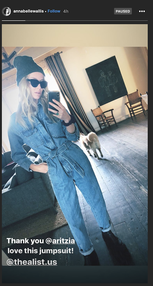 Annabelle Wallis in the Denim Forum Francoise Jumpsuit