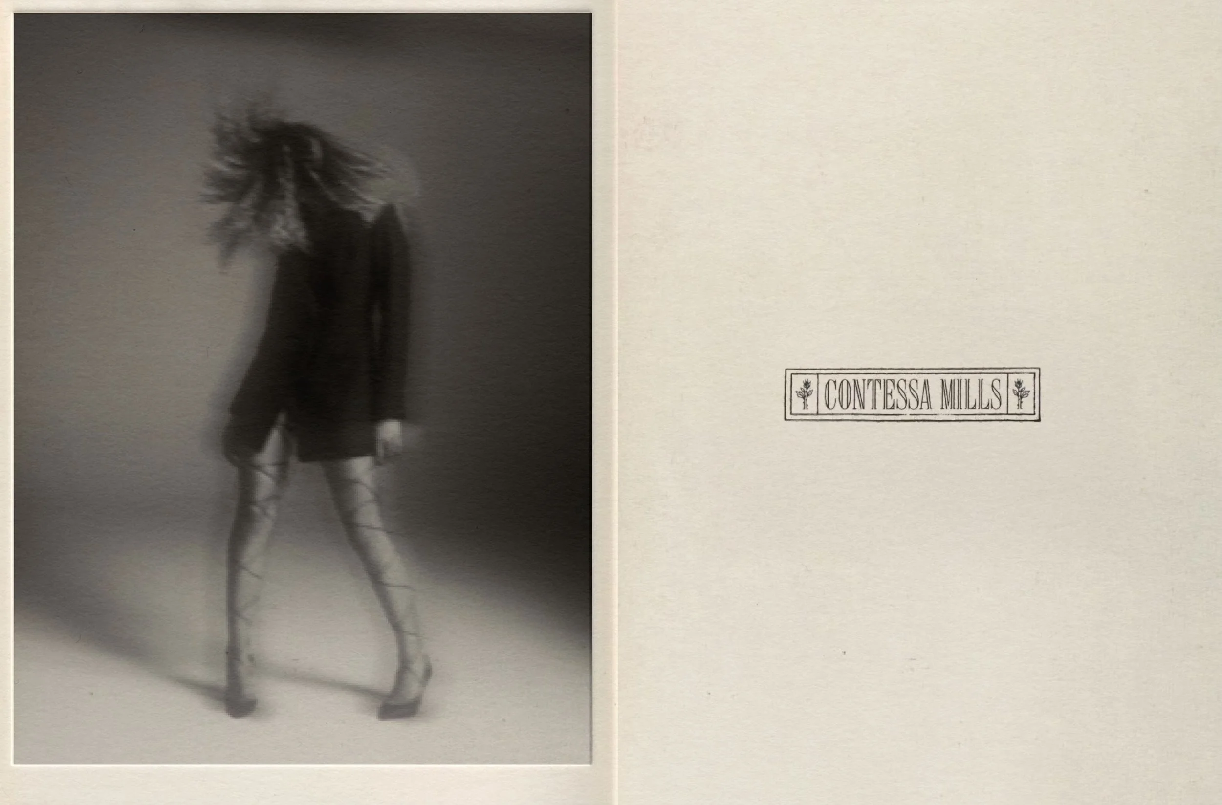 Z8aKGhsAHJWomE0E_ContessaMills_Portfolio_Large2.jpeg