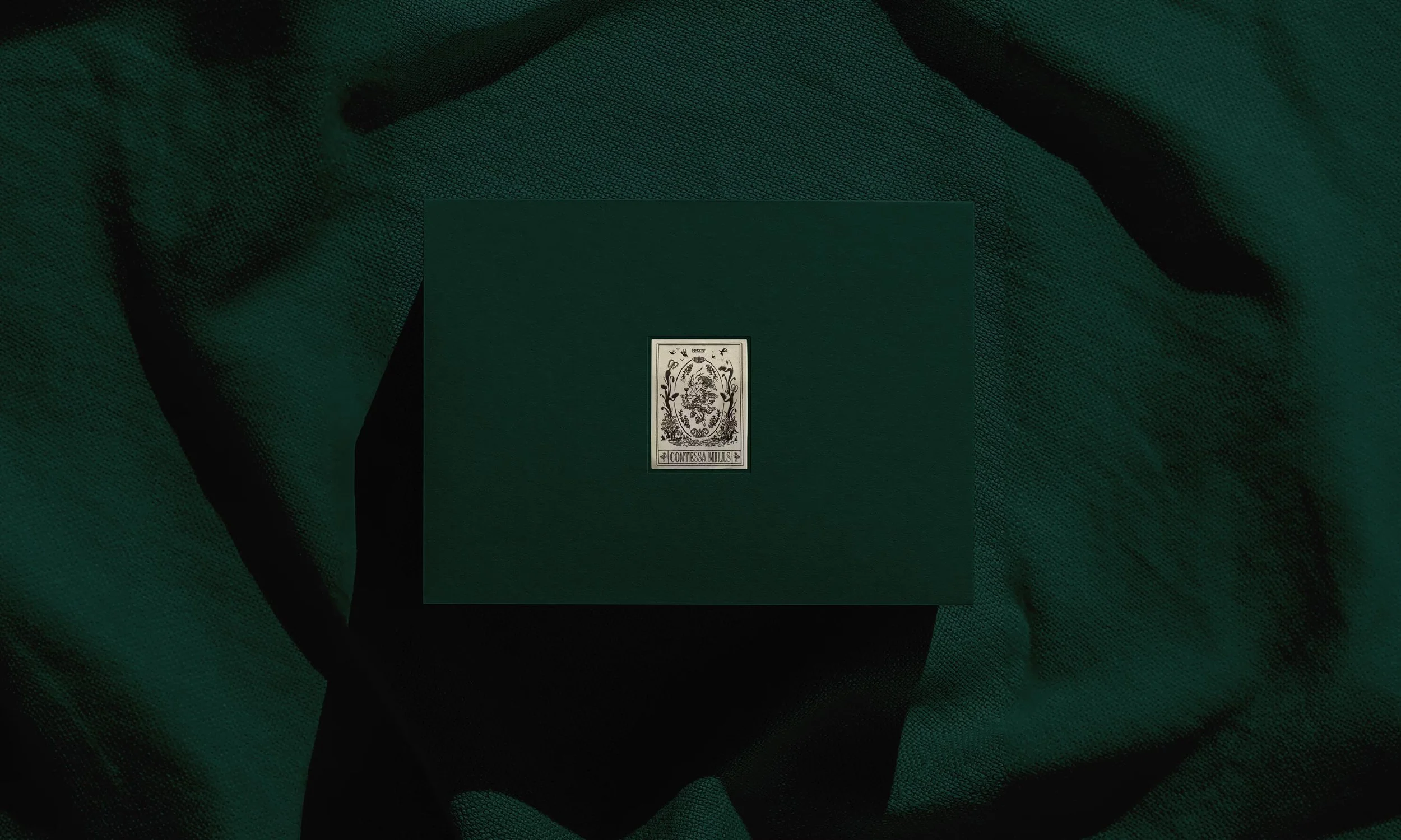 Z8aKFhsAHJWomE0A_ContessaMills_Portfolio_Large.jpeg