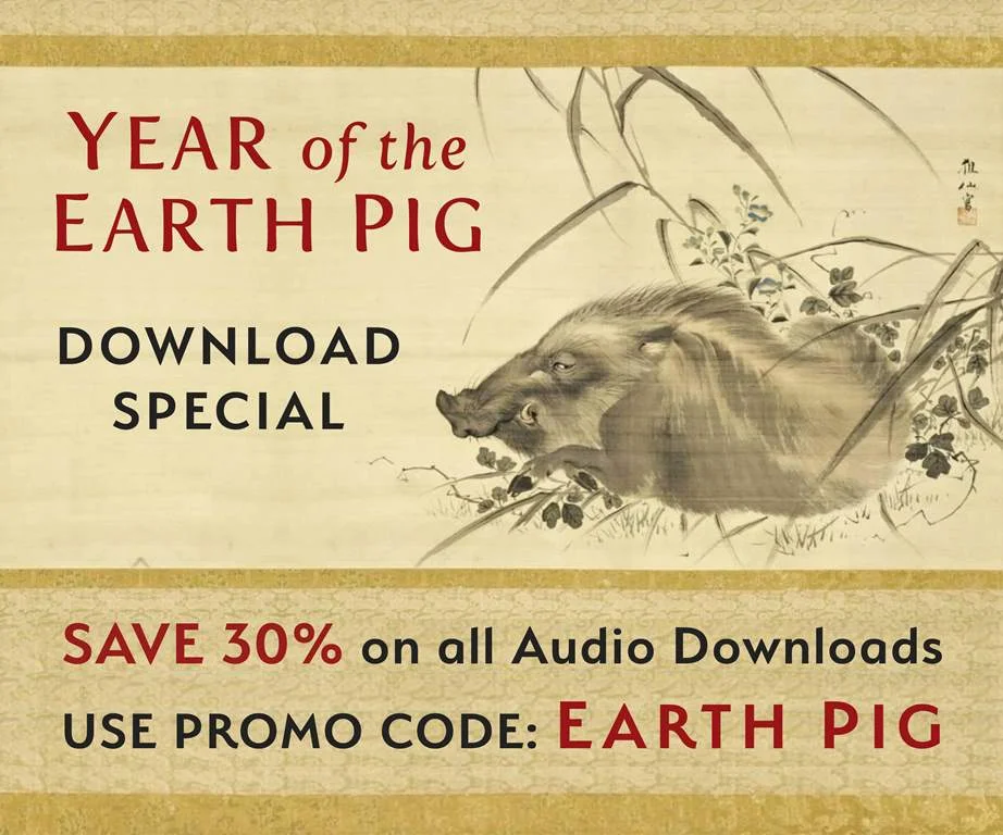 earthpig new.jpg