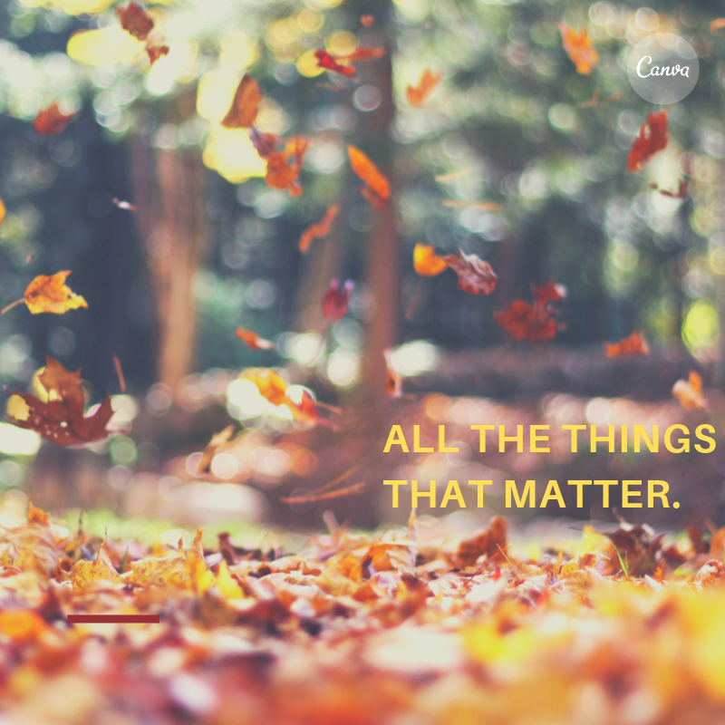 All the things that matter