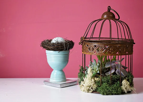 Bird Cage Succulent Planter