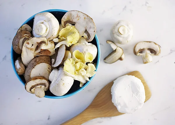Mushrooms 2.jpg