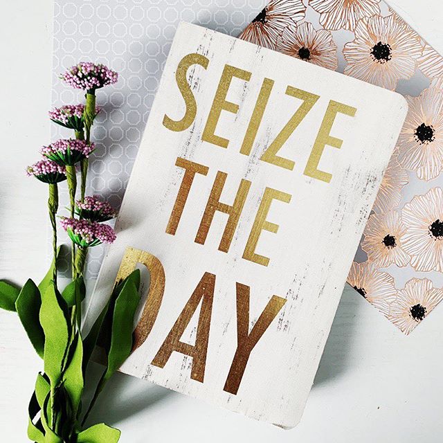 Working at home today due to weather ... all the snow has colors washed out a bit, but Spring is soooo close now!  #snowday #workathome #seizetheday #gold #stationaryaddict  #journal #comeonspring
