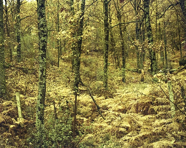 07.jpg