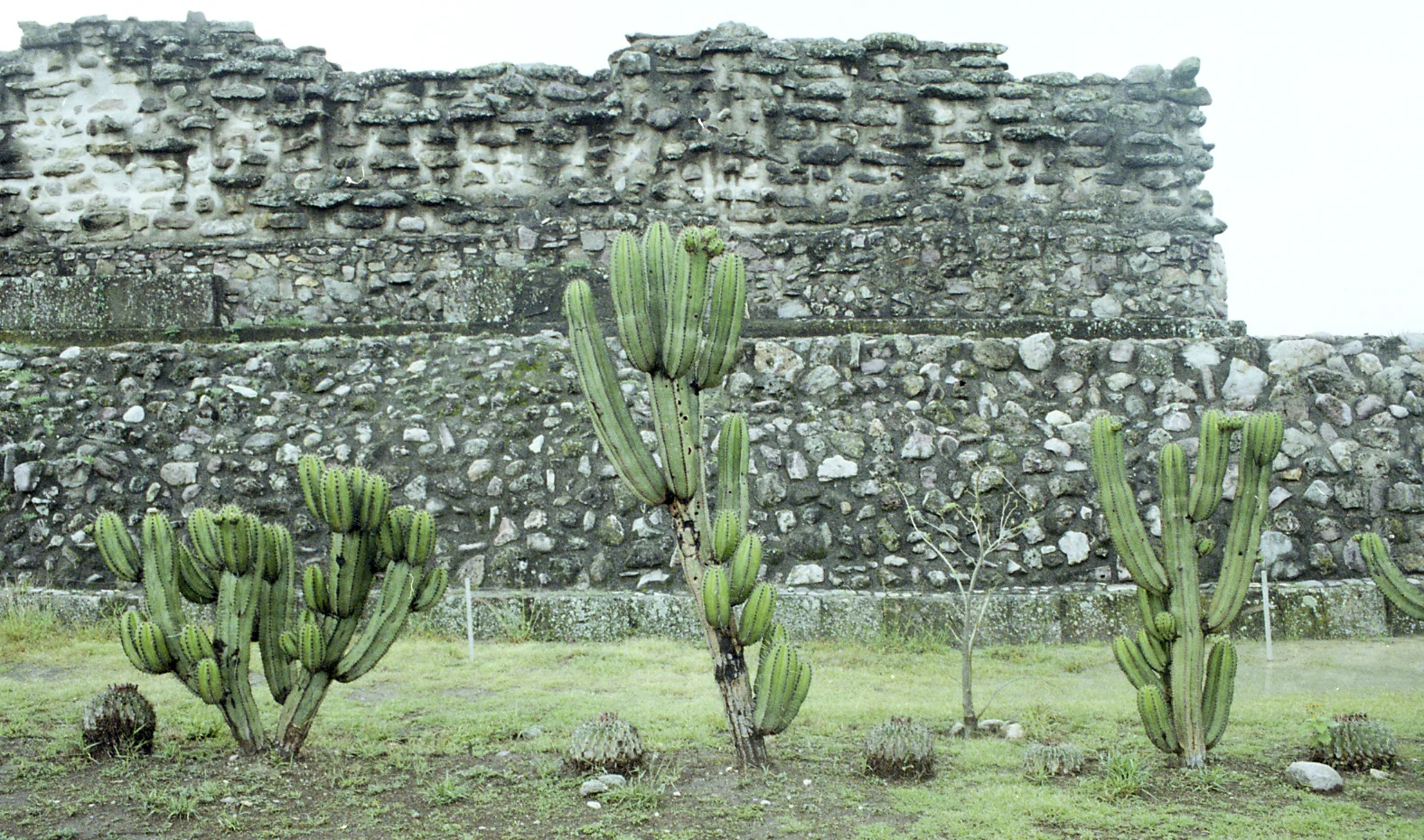 IMG108-2.jpg