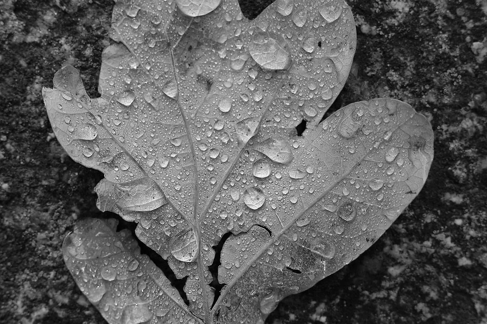 Un paseo tranquilo y sosegado