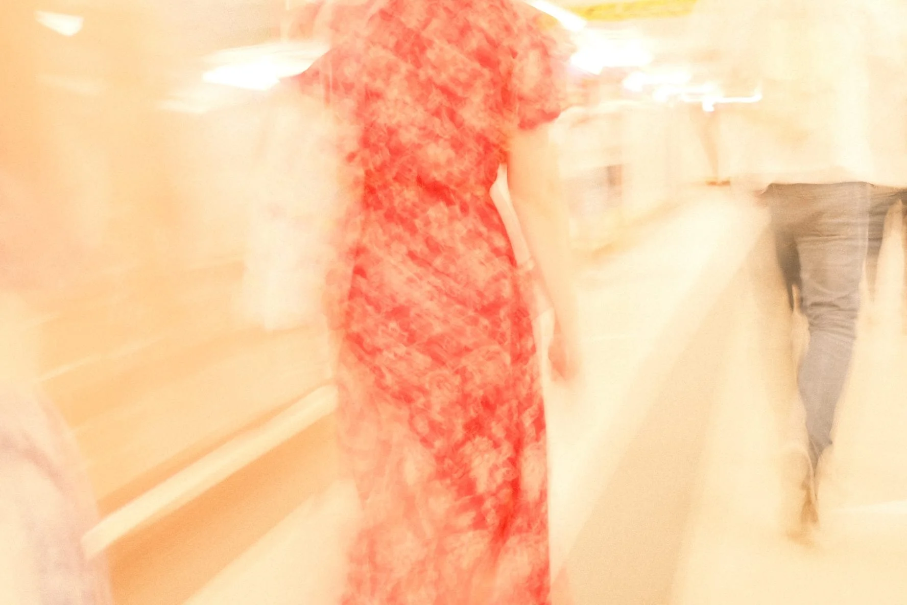 Una polilla exhausta