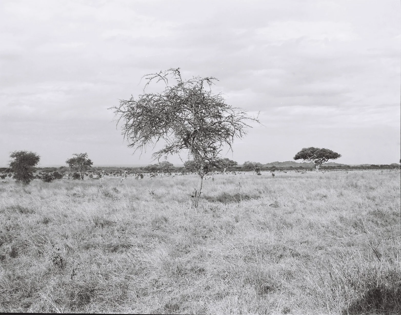Sueños para el autoconocimiento