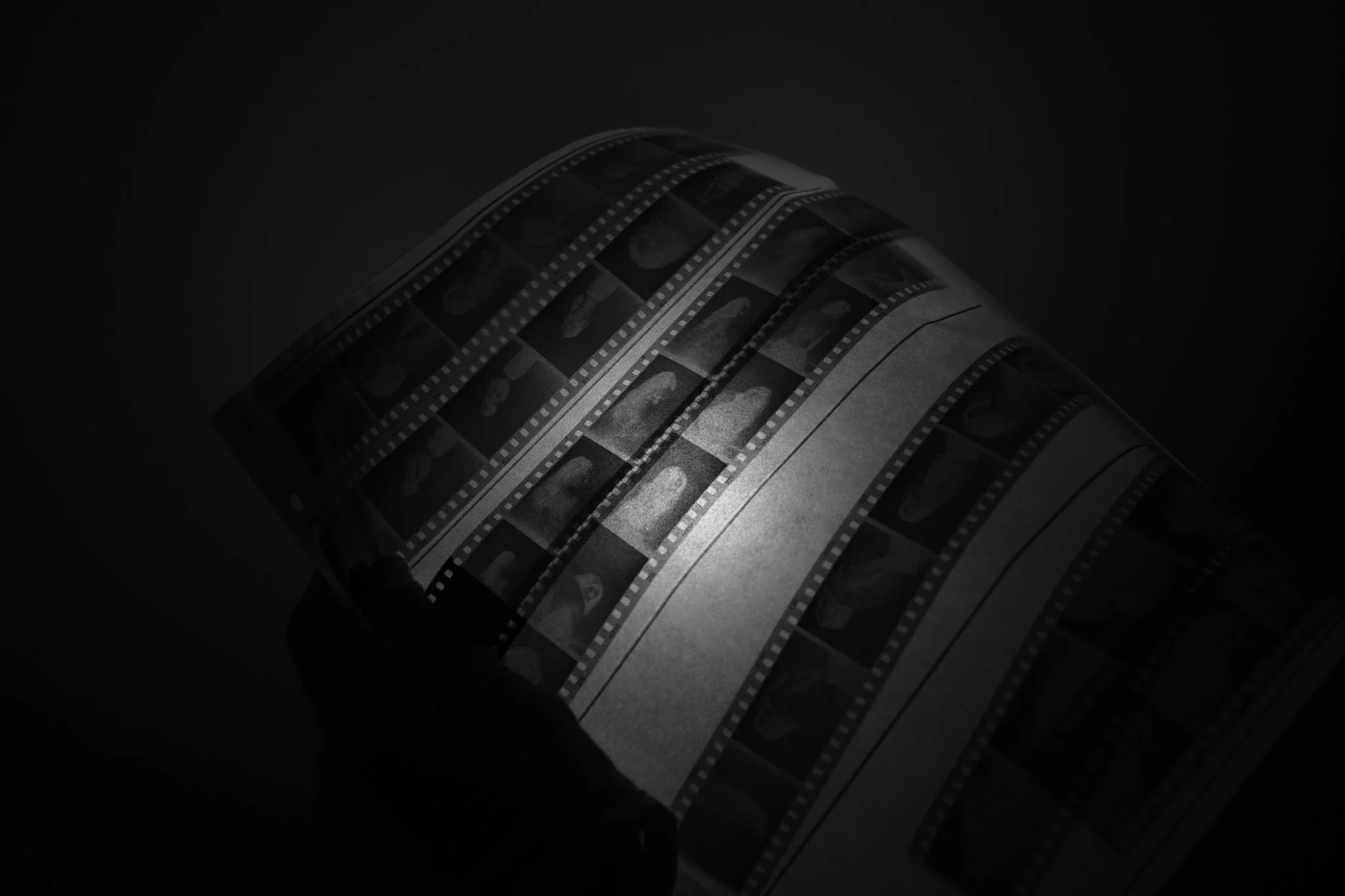_DSF1450.jpg