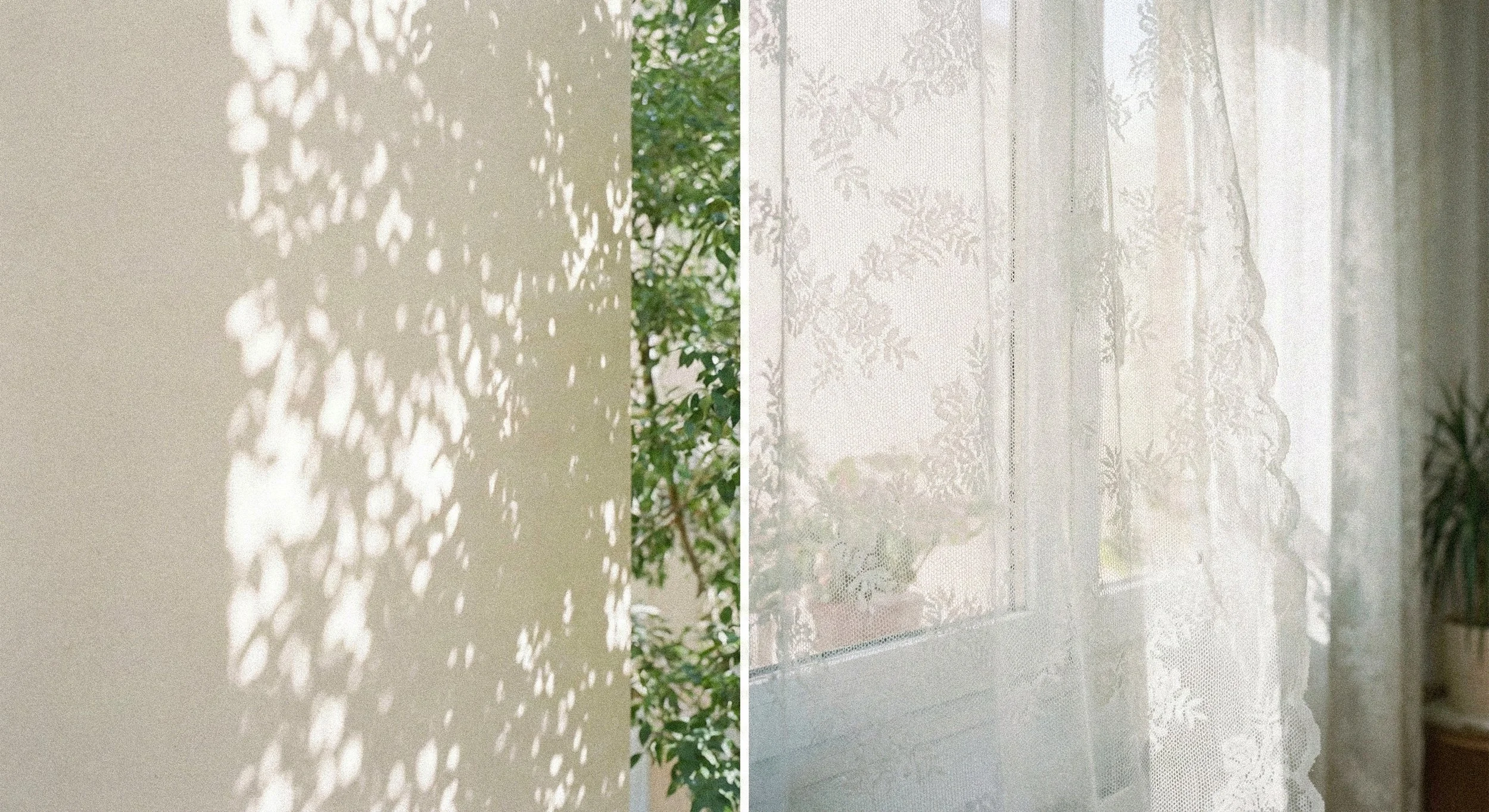 Flores y cortina.jpg