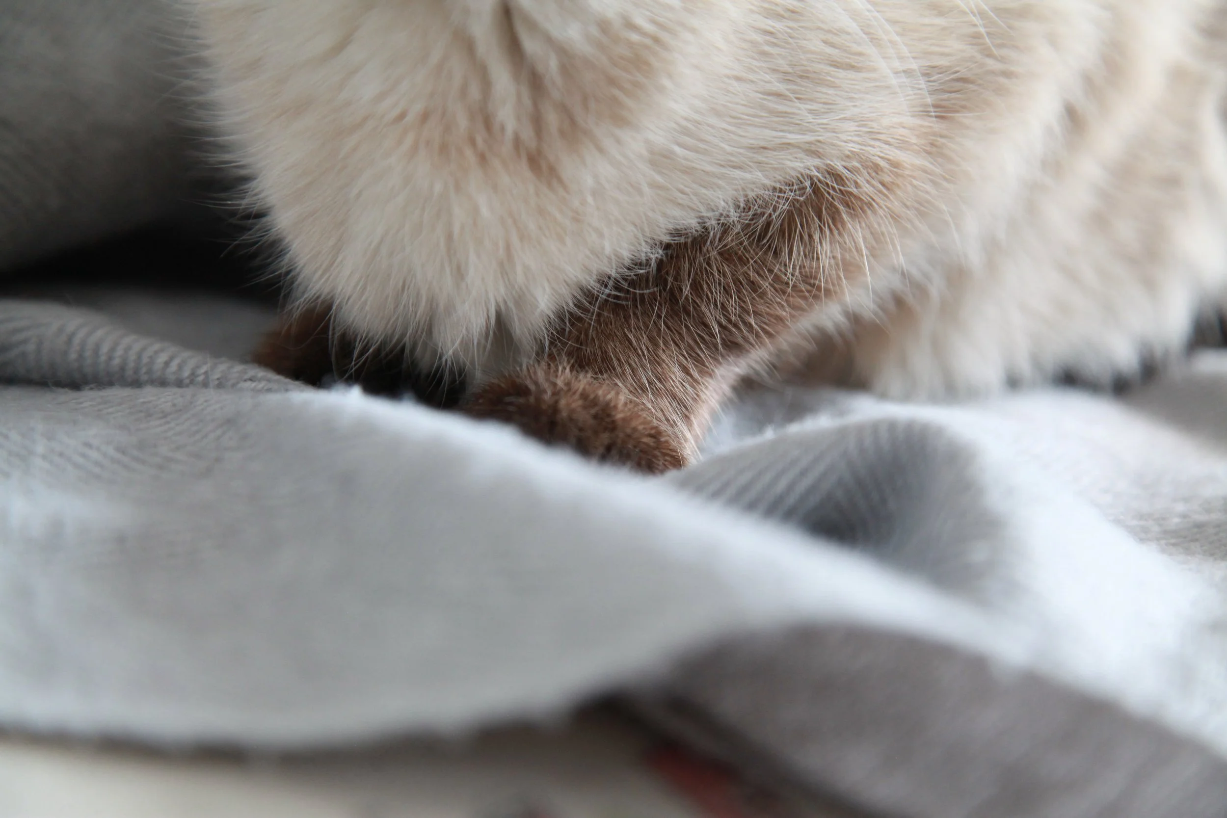  Las amigas del alma están destinadas a encontrarse