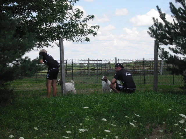 with goats.jpg