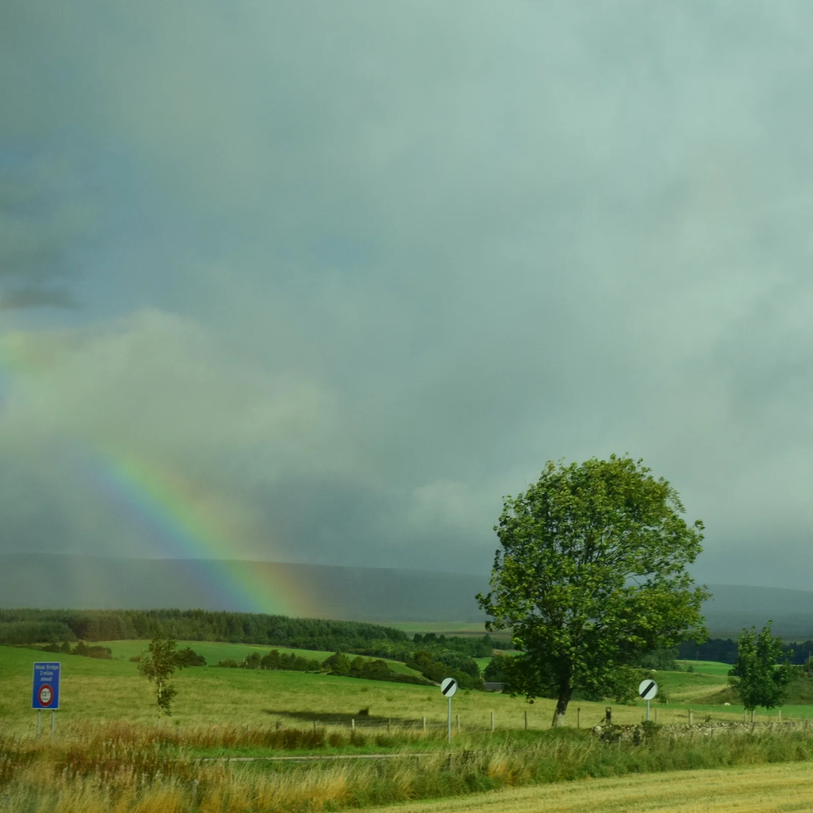 A Letter to the Future