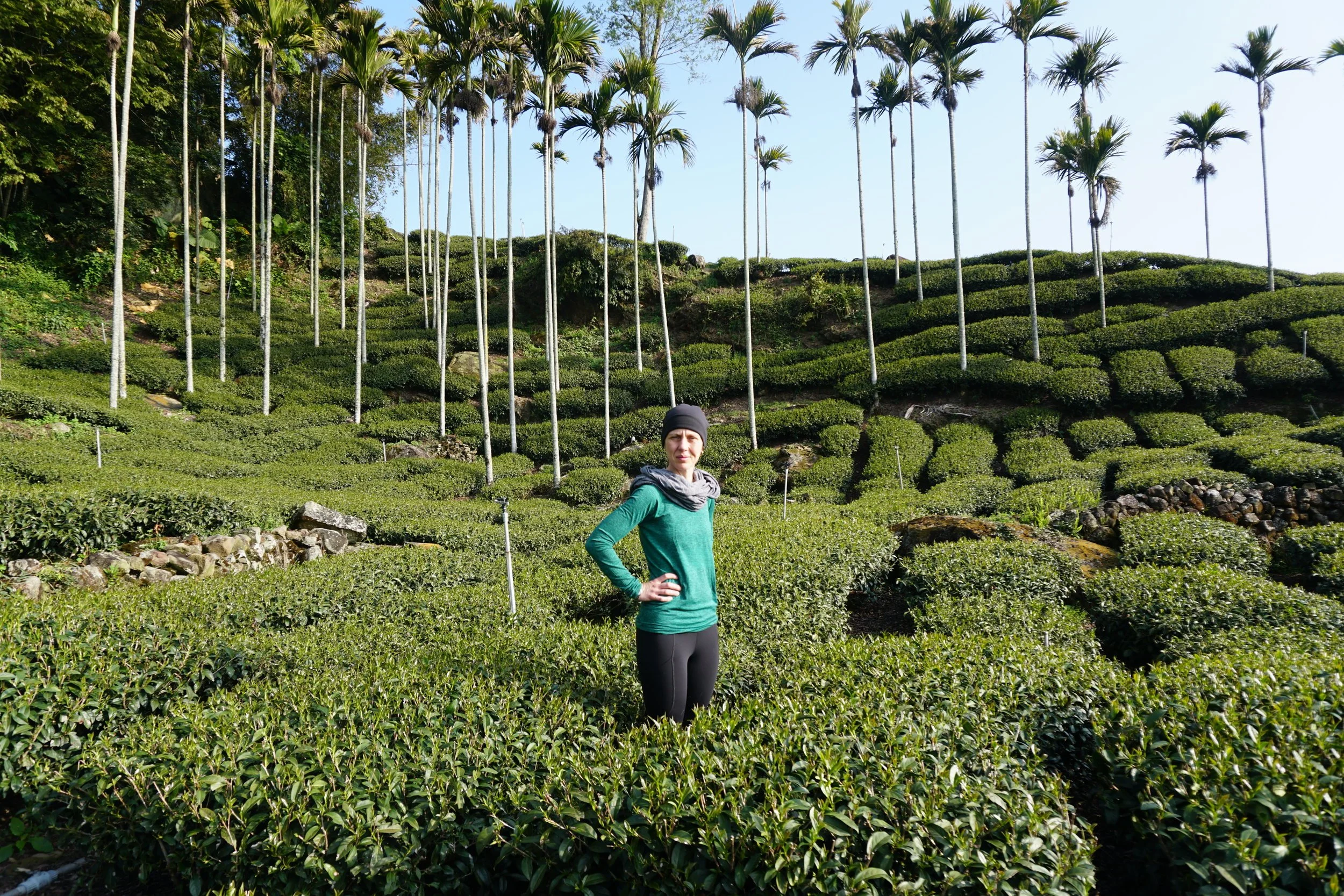 Experimenting tea culture in Taiwan Pt.1 - Number E Tea Company