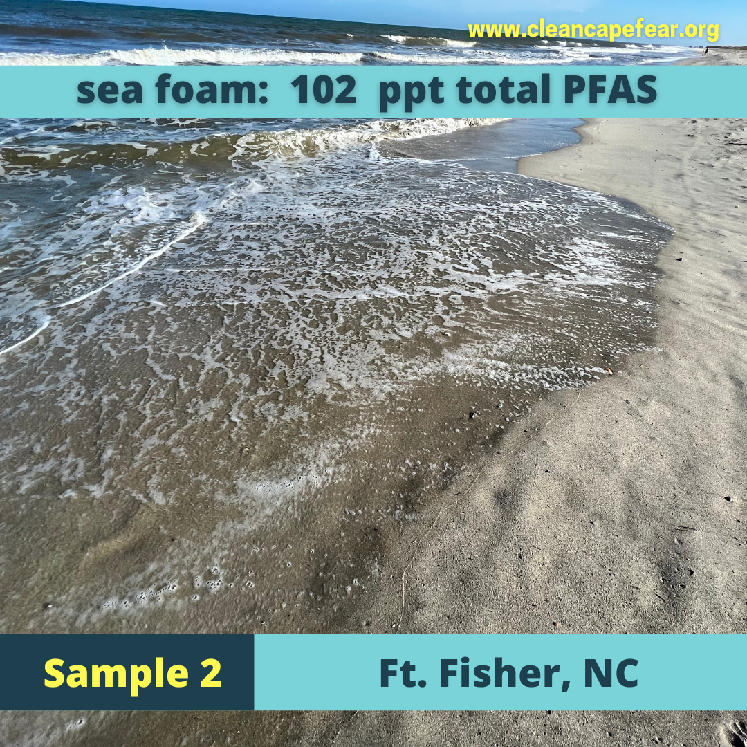 Sample 2_Ft. Fisher_AUG10_2022.png