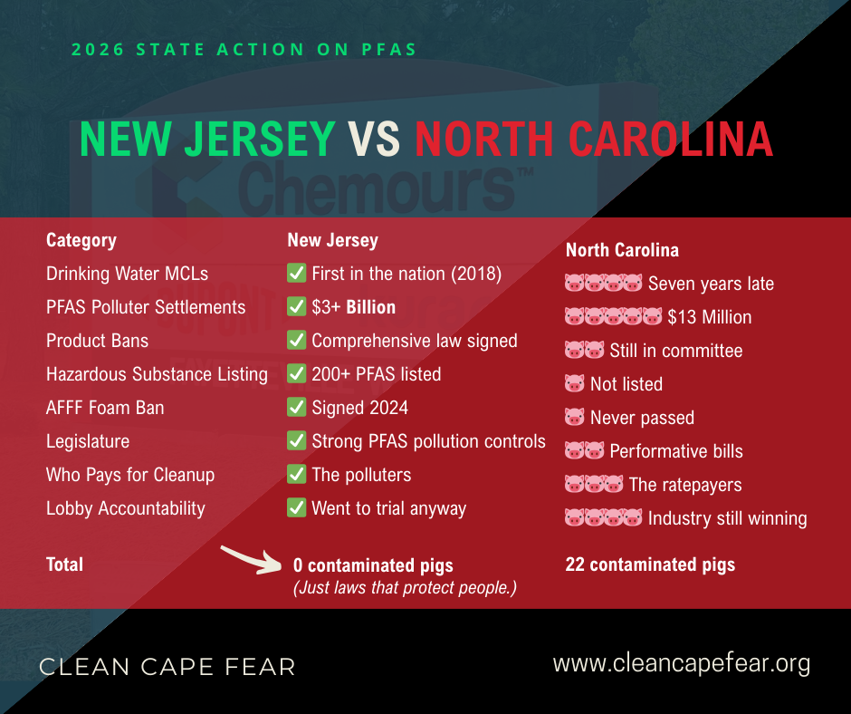 New Jersey Is Holding PFAS Polluters Accountable. North Carolina Is Still Marinating Its Pigs in PFAS.