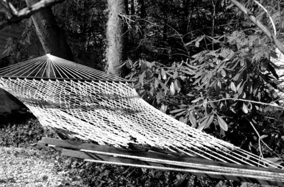 hammock.jpg