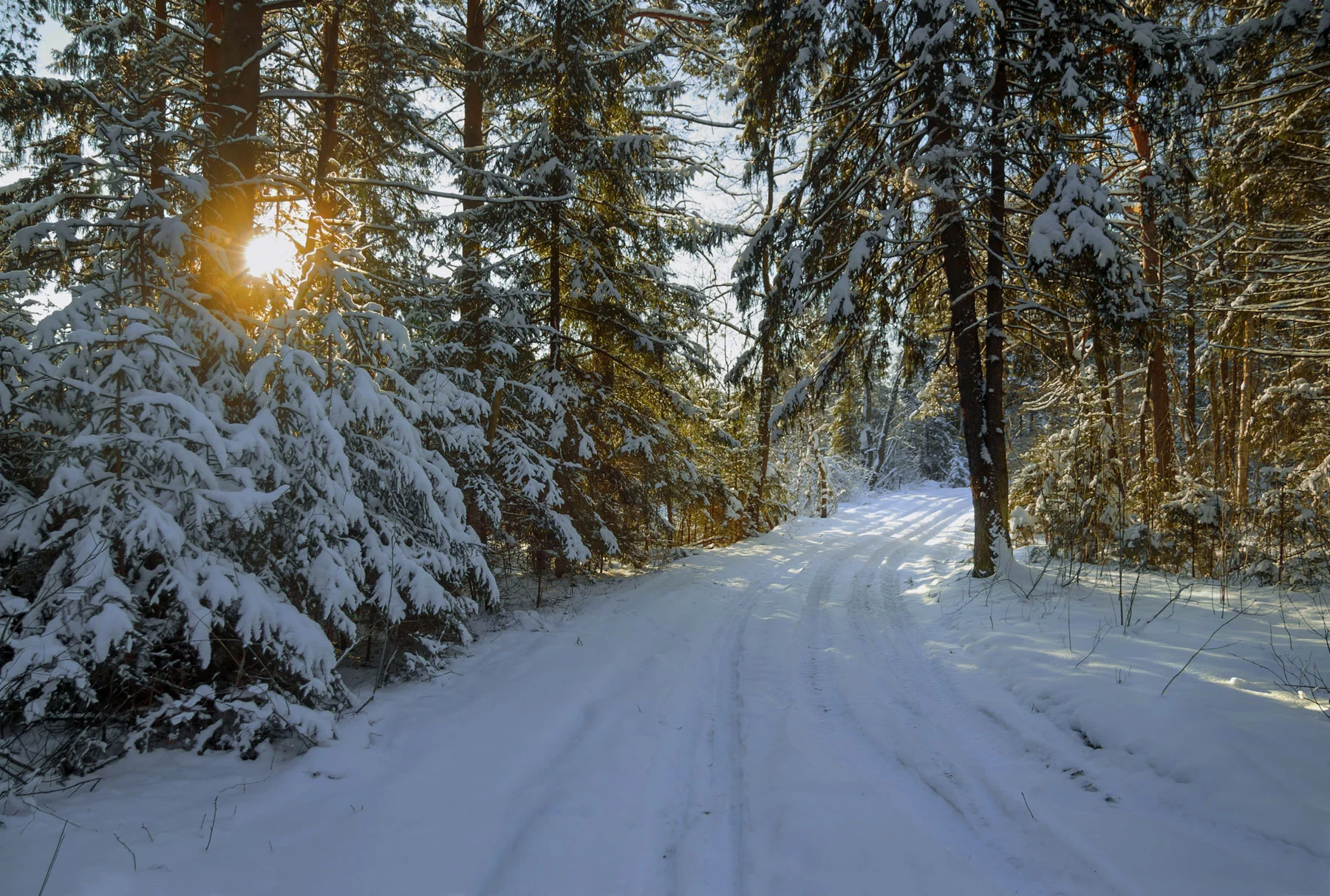 solstice-image.jpg