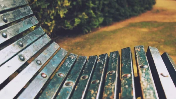 bench-copy.jpg