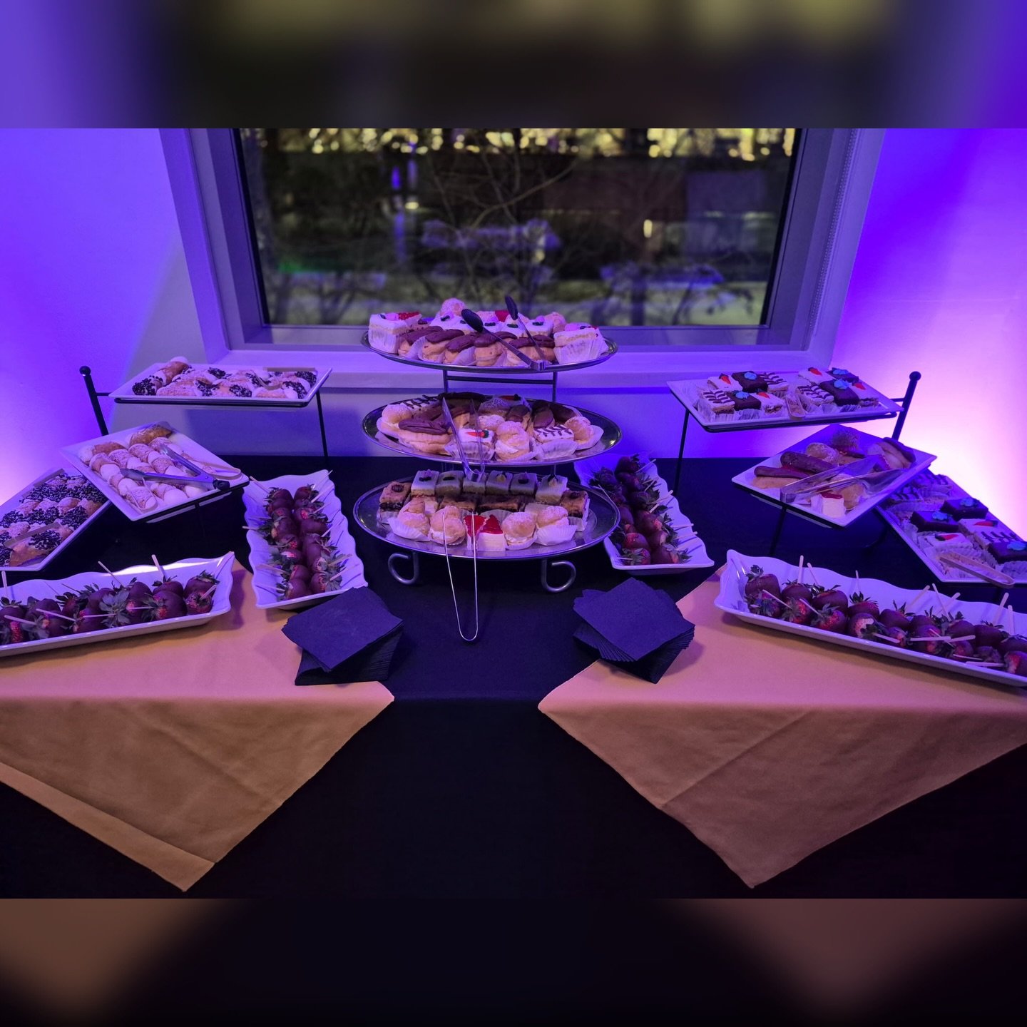 Our assorted pastries, chocolate dipped strawberries and mini cannolis for eGenesis on 1/29