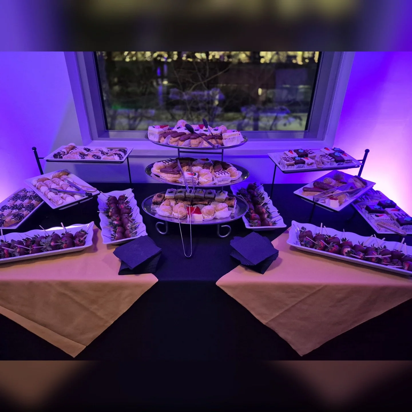 Our assorted pastries, chocolate dipped strawberries and mini cannolis for eGenesis on 1/29