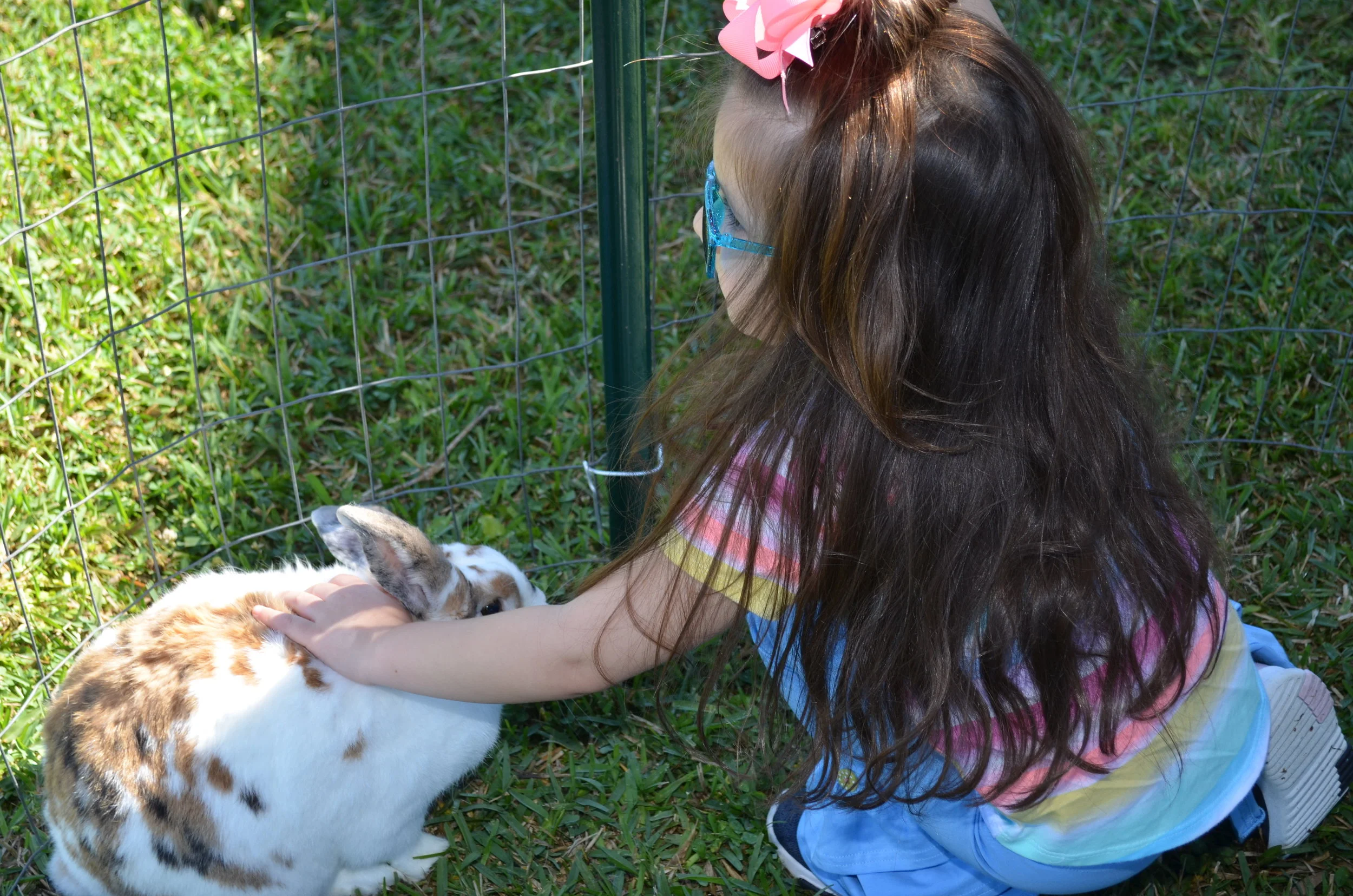 BunnyBash - 101.jpg